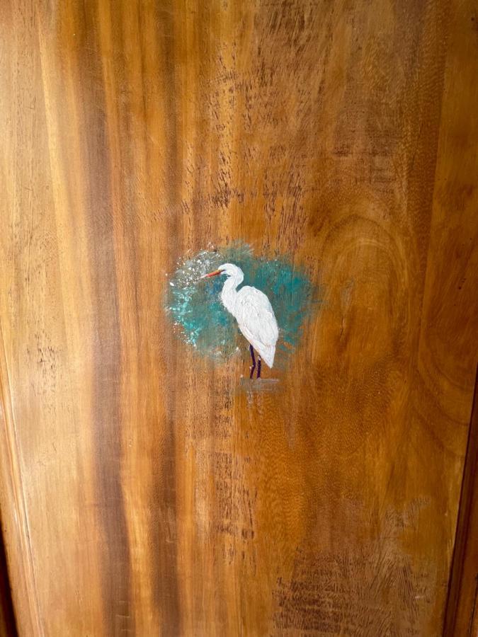 Apartamento Garza Blanca 巴哈马尔 外观 照片